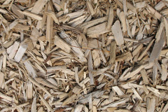biomass boilers Stranocum